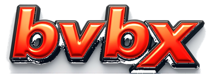 bvbx logo